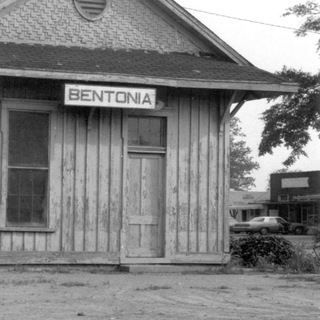 Telegram profile photo for Bentonia