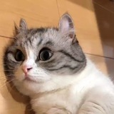 Telegram profile photo for Марьям(^o^)