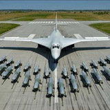 Telegram profile photo for White Swan/Белый лебедь