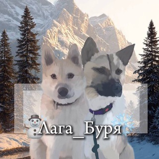 Telegram profile photo for ❤️🔥🐶Лага/Буря🐶❤️🔥