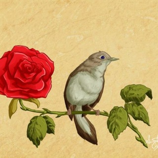 Telegram profile photo for Osmanlıca - Türkçe 🧡
