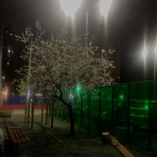 Telegram profile photo for #ильяприкольный