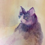 Telegram profile photo for Pancakes