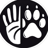 Telegram profile photo for WildLifeKeeperTest