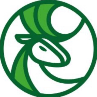 Telegram profile photo for СканТур Турагентам