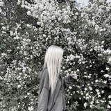 Telegram profile photo for 🎞Квесты, город теней.