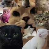 Telegram profile photo for Крутой канал слизиквека