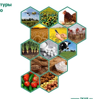 Telegram profile photo for Аграрный