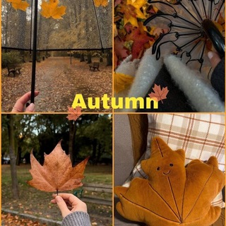 Telegram profile photo for 🍁KUZ FASLI🍁