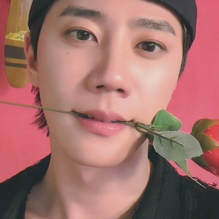 Telegram profile photo for ɱყ ʂųŋ’ʝųŋყơųŋɠ.