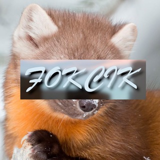 Telegram profile photo for ПАЖИЛАЯ КУНИЦА STREAMS
