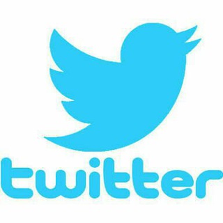 Telegram group profile photo for 🌷 ٹویٹر گائیڈ 🌷