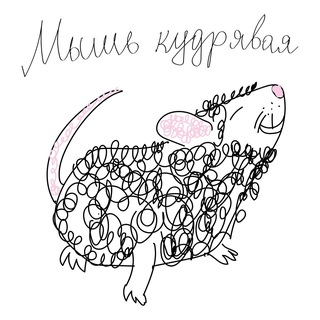 Telegram profile photo for Мышь кудрявая | Брендинг | Реклама