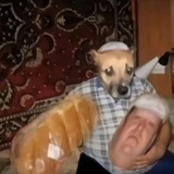 Telegram profile photo for паплюжик
