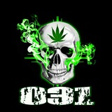 Telegram profile photo for 031 Record