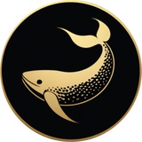 Telegram profile photo for Coub Whales/Киты Coub 🐋