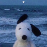 Telegram profile photo for 25:61