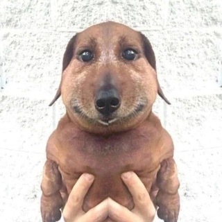 Telegram profile photo for manyahleb
