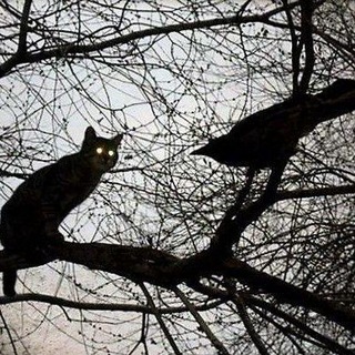 Telegram profile photo for Инфо