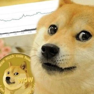 Telegram profile photo for 币圈三马哥行情分析(唯一公开频道)