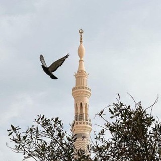 Telegram profile photo for سُقْيا