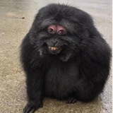 Telegram profile photo for Kate journey