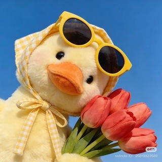 Telegram profile photo for Lpmjualan