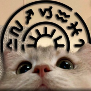 Telegram profile photo for котобачення