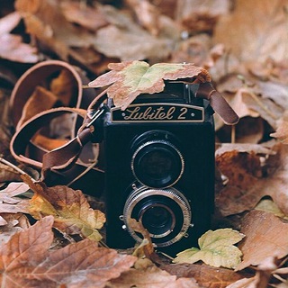 Telegram profile photo for Road_of_Sense