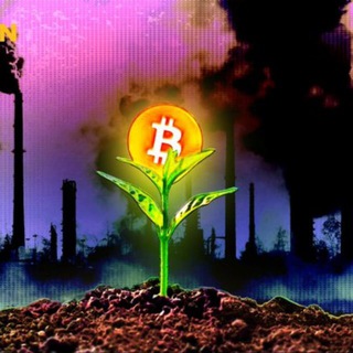 Telegram profile photo for 💯💰My BITCOIN Group💰💯