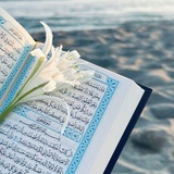 Telegram profile photo for " لِــتــَطـمئن قُلــوبكم"
