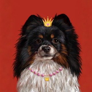 Telegram profile photo for Царевна Люсиль 👑