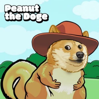 Telegram profile photo for Peanut the Doge