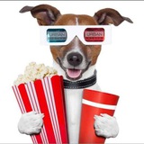 Telegram profile photo for URBAN FILMS