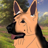 Telegram profile photo for Жизнь Овчарки🐾🥏