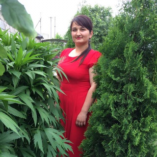 Telegram profile photo for КабардинкаАгро