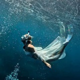 Telegram profile photo for Lady Diver