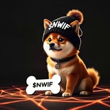 Telegram profile photo for $NWIF CTO - Portal