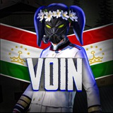 Telegram profile photo for VOIN REWIEVS