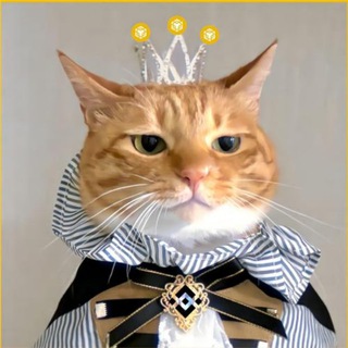 Telegram profile photo for NianNian COMMUNITY π ππΆ