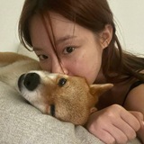 Telegram profile photo for info kpopstansnst