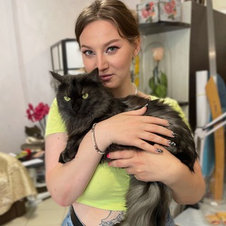 Telegram profile photo for Котики на сісічках 🍒