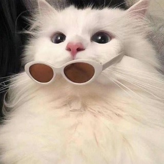 Telegram profile photo for 杭州教务处