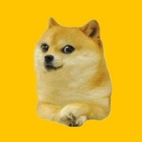 Telegram profile photo for Minidoge