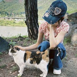 Telegram profile photo for Sanctuary