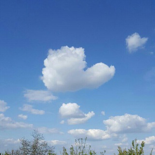 Telegram profile photo for I guardiani del cielo canale