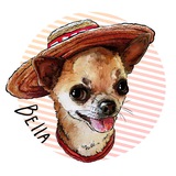 Telegram profile photo for Белла с вами 😜