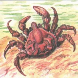Telegram profile photo for Craboid thoughts