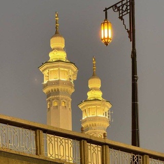 Telegram profile photo for التّوحِيدُ والسُّنَّة بِفَهمِ سَلفِ الأُمَة|🌸🌱