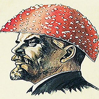 Telegram profile photo for Пещерный Мухомор🇩🇰🇪🇺